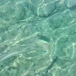 A *
