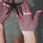 Σπίτι διακοπών A *